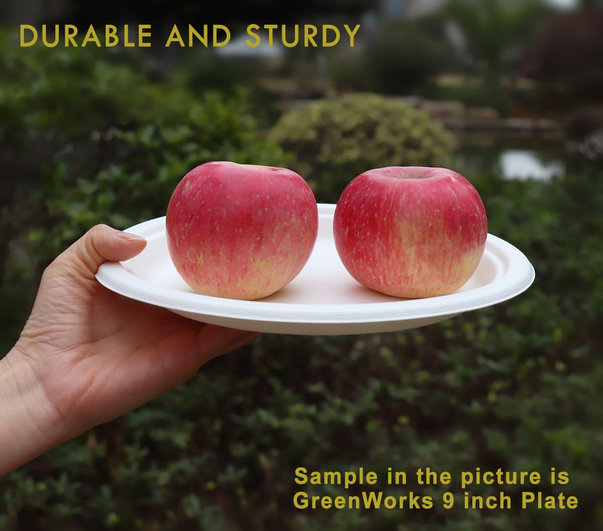 6-Inch Compostable Heavyweight Plates β 100% Biodegradable Bagasse & Bamboo Fiber (Pack of 50)