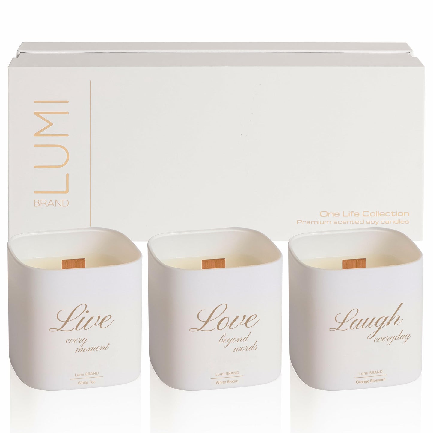 Luxury Scented Soy Candle Set – Canadian Cedar, Black Amber & Sandalwood (3-Pack)