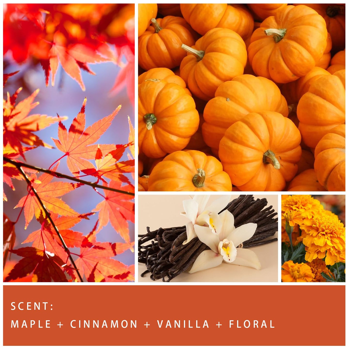 Autumn Scented Candle Collection – Seasonal Scents for Cozy, Holiday Ambience