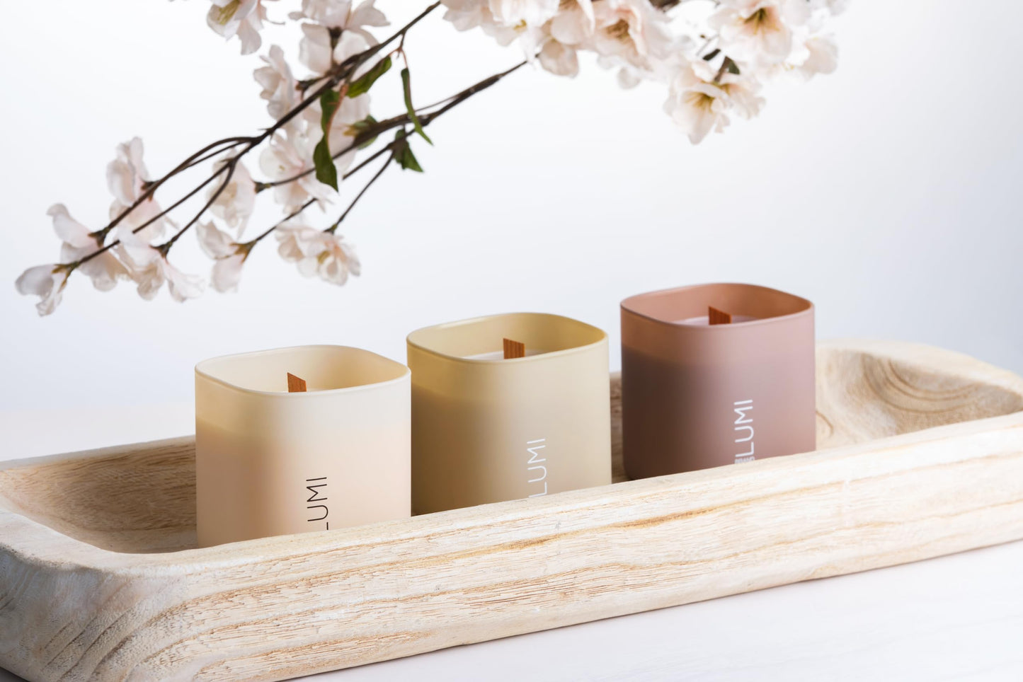 Luxury Scented Soy Candle Set – Canadian Cedar, Black Amber & Sandalwood (3-Pack)