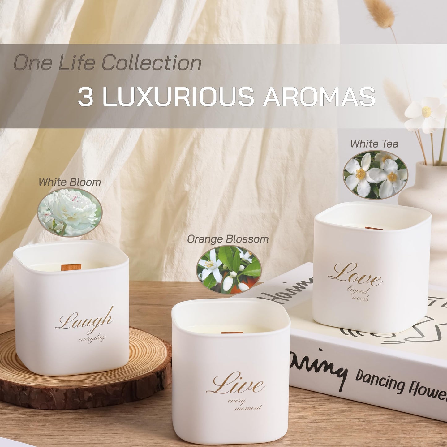 Luxury Scented Soy Candle Set – Canadian Cedar, Black Amber & Sandalwood (3-Pack)