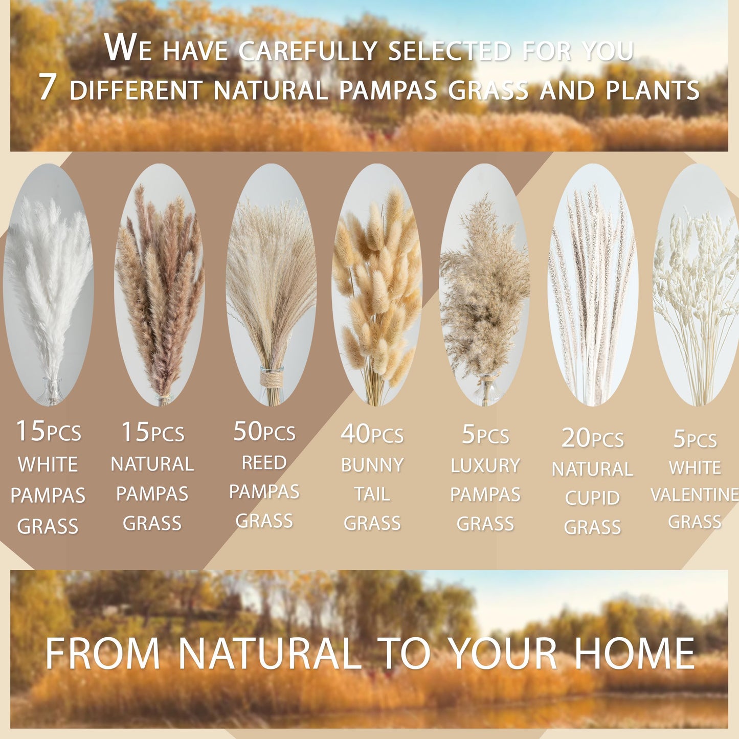 Natural Pampas Grass Bouquet