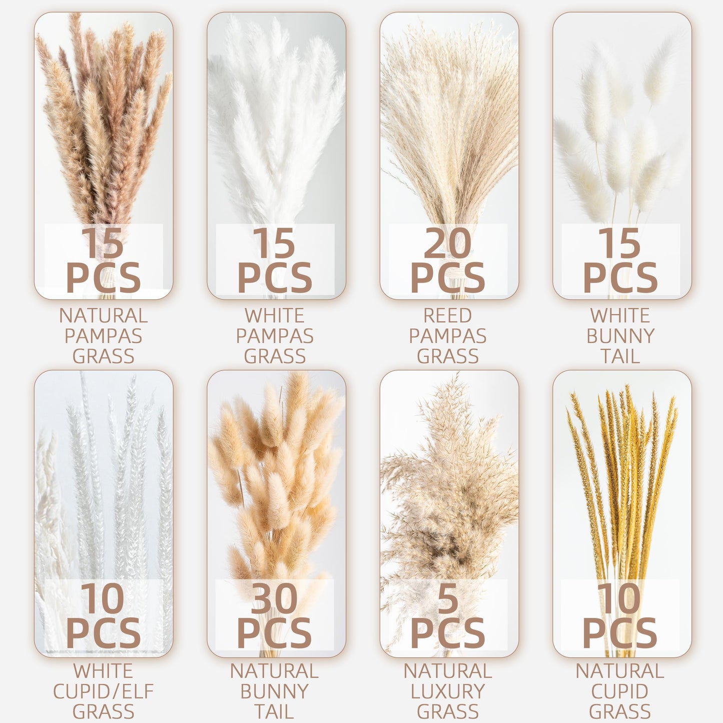 Natural Pampas Grass Bouquet