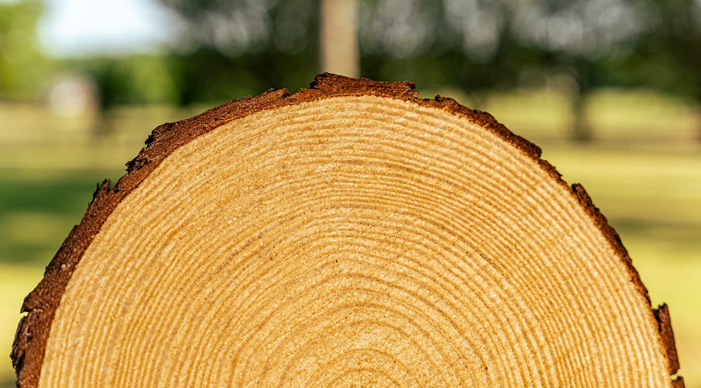 Rustic Centerpiece Rounds for Weddings, Crafts & Home Décor | Kiln-Dried, Sustainable Wood (6 or 10 Pack)