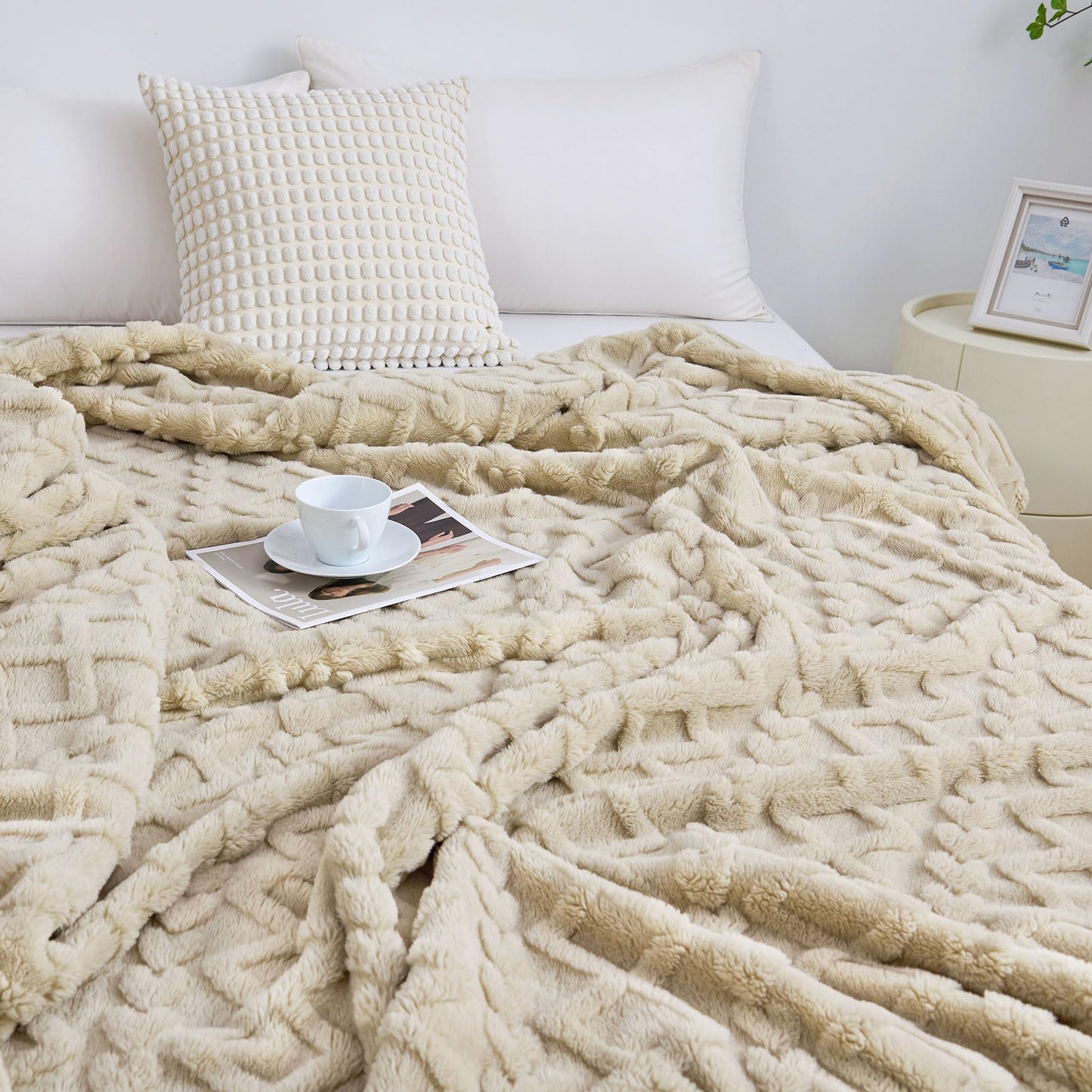Luxury Plush Faux Fur Throw Blanket