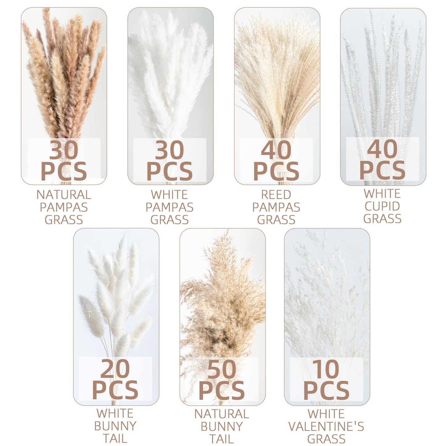 Natural Pampas Grass Bouquet