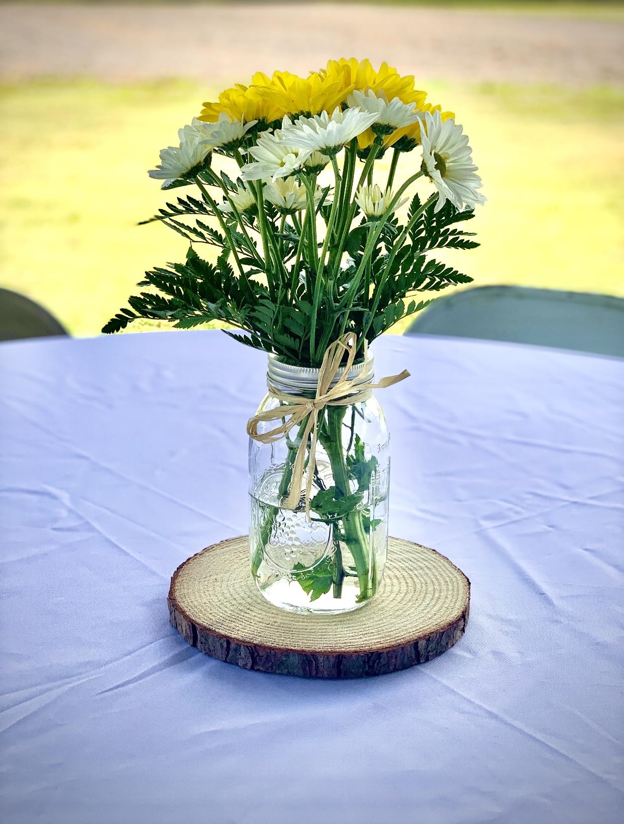Rustic Centerpiece Rounds for Weddings, Crafts & Home Décor | Kiln-Dried, Sustainable Wood (6 or 10 Pack)