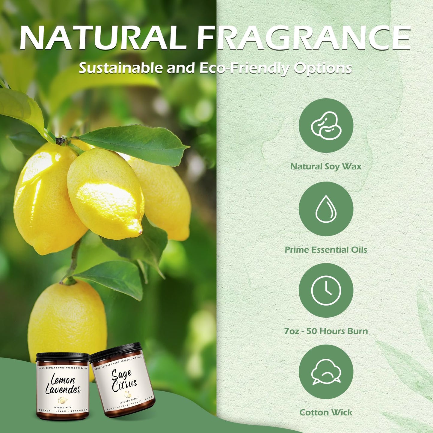 Autumn Scented Candle Collection – Seasonal Scents for Cozy, Holiday Ambience