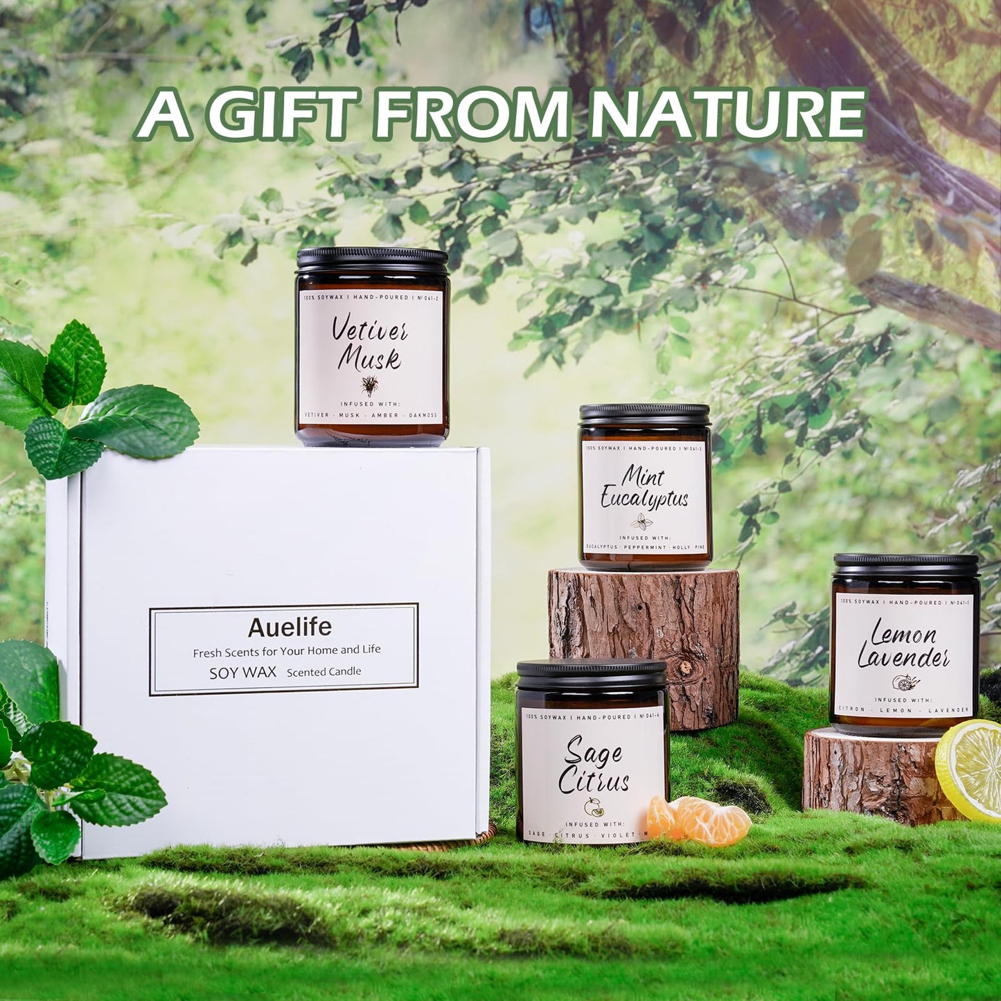 Autumn Scented Candle Collection – Seasonal Scents for Cozy, Holiday Ambience