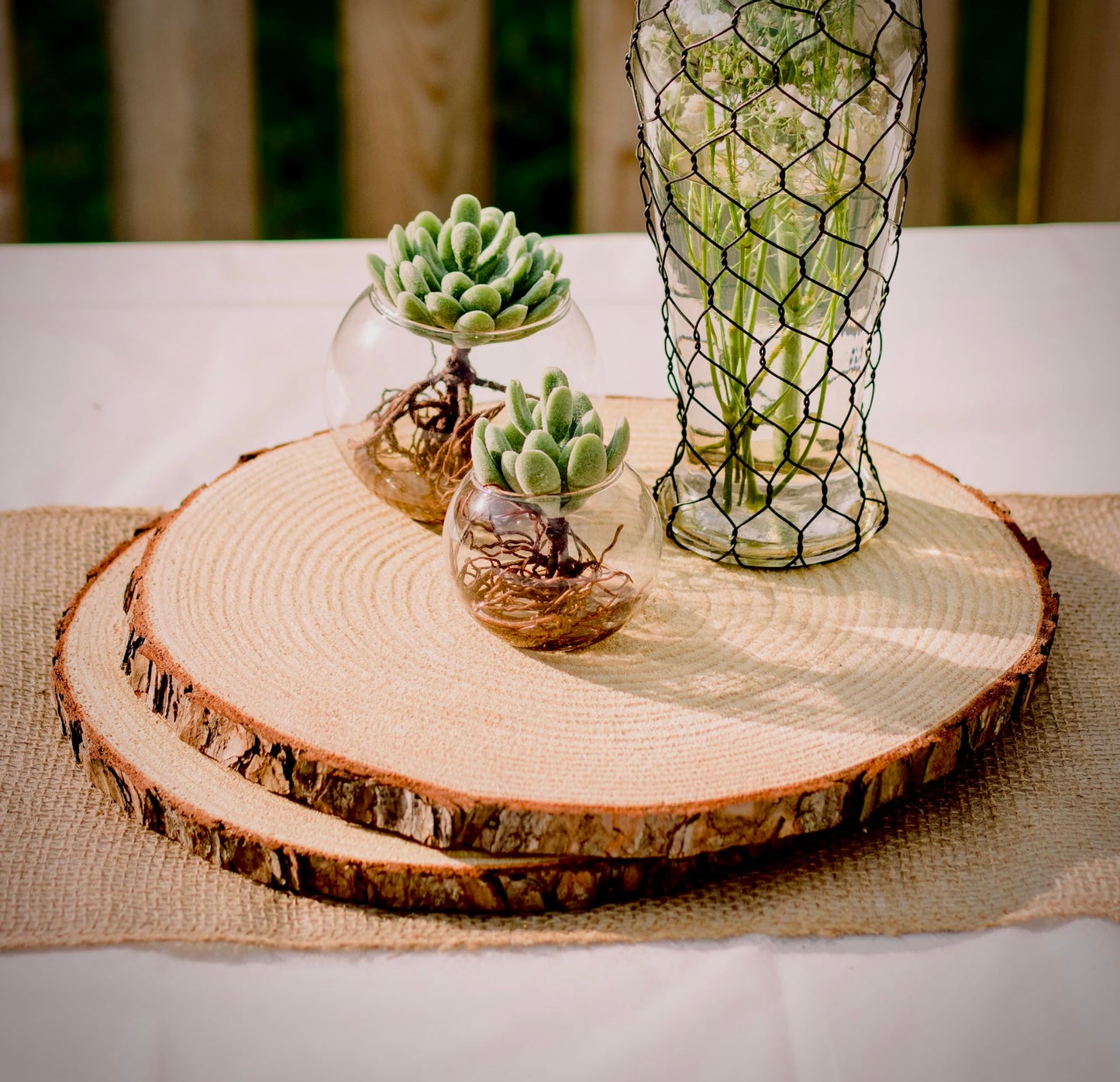 Rustic Centerpiece Rounds for Weddings, Crafts & Home Décor | Kiln-Dried, Sustainable Wood (6 or 10 Pack)