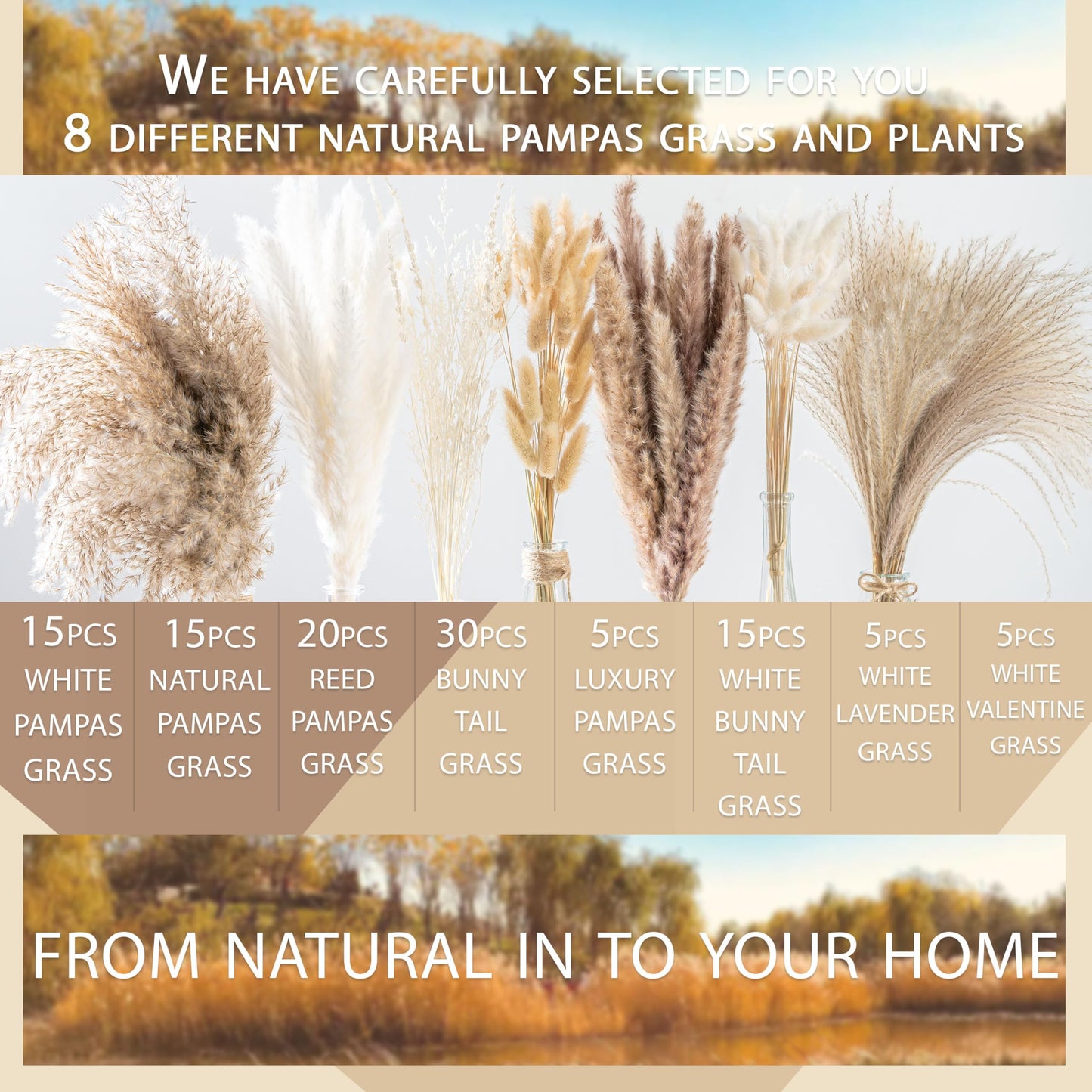 Natural Pampas Grass Bouquet