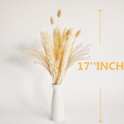 Natural Dried Pampas Grass Bouquet – Mixed Fluffy Pompous Grass for Vase, Boho Decor, Weddings, Gifts & Home Arrangements 100PCS