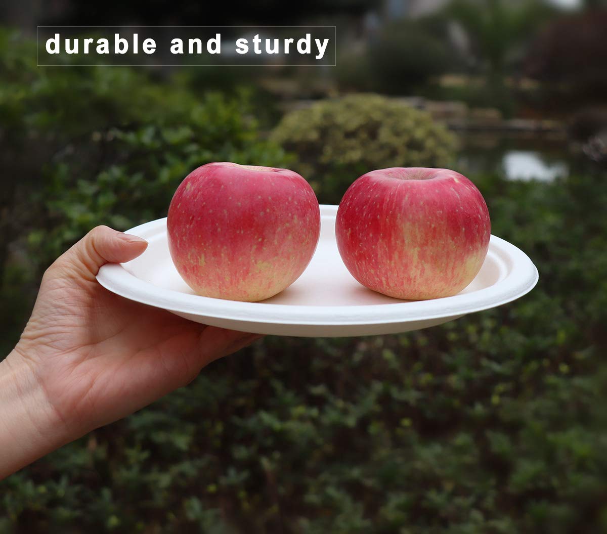 6-Inch Compostable Heavyweight Plates – 100% Biodegradable Bagasse & Bamboo Fiber (Pack of 50)