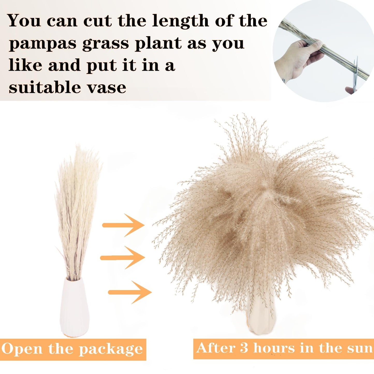 Natural Dried Pampas Grass Bouquet – Mixed Fluffy Pompous Grass for Vase, Boho Decor, Weddings, Gifts & Home Arrangements 100PCS