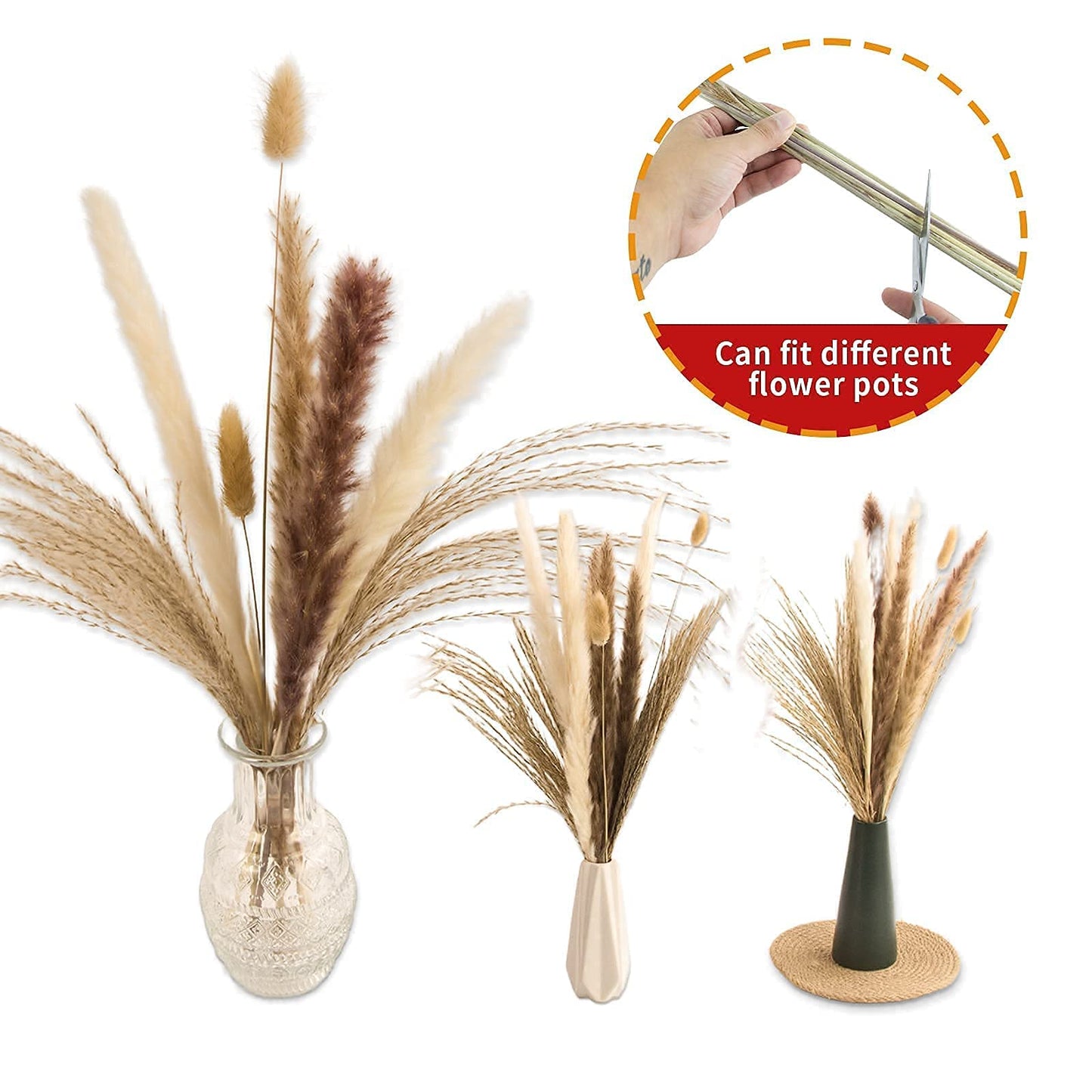 Natural Dried Pampas Grass Bouquet – Mixed Fluffy Pompous Grass for Vase, Boho Decor, Weddings, Gifts & Home Arrangements 100PCS