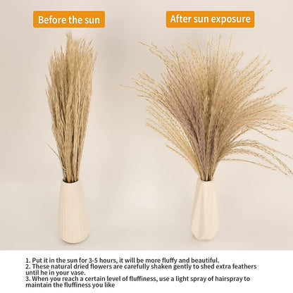 Natural Dried Pampas Grass Bouquet – Mixed Fluffy Pompous Grass for Vase, Boho Decor, Weddings, Gifts & Home Arrangements 100PCS