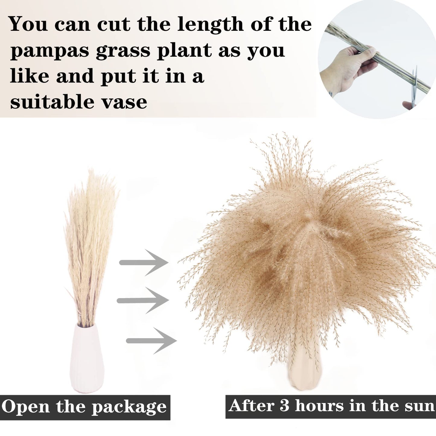 Natural Dried Pampas Grass Bouquet – Mixed Fluffy Pompous Grass for Vase, Boho Decor, Weddings, Gifts & Home Arrangements 100PCS