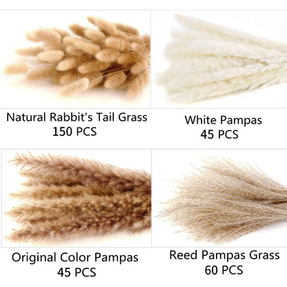 Natural Dried Pampas Grass Bouquet – Mixed Fluffy Pompous Grass for Vase, Boho Decor, Weddings, Gifts & Home Arrangements 100PCS