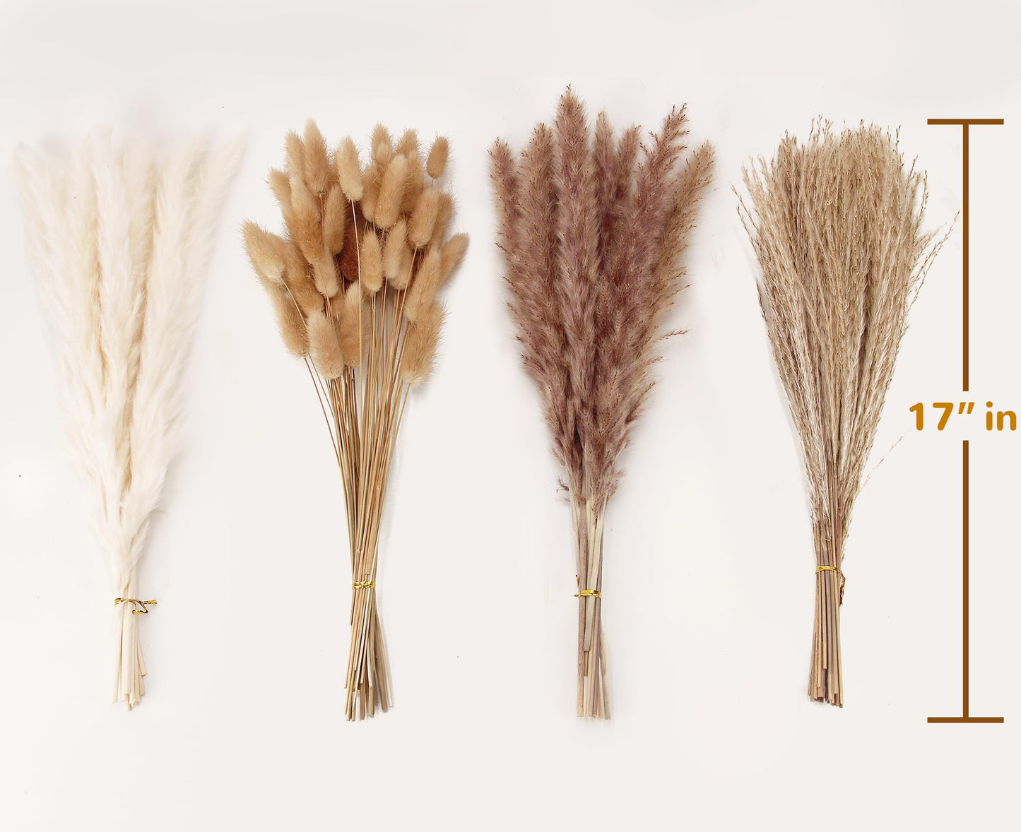 Natural Dried Pampas Grass Bouquet – Mixed Fluffy Pompous Grass for Vase, Boho Decor, Weddings, Gifts & Home Arrangements 100PCS