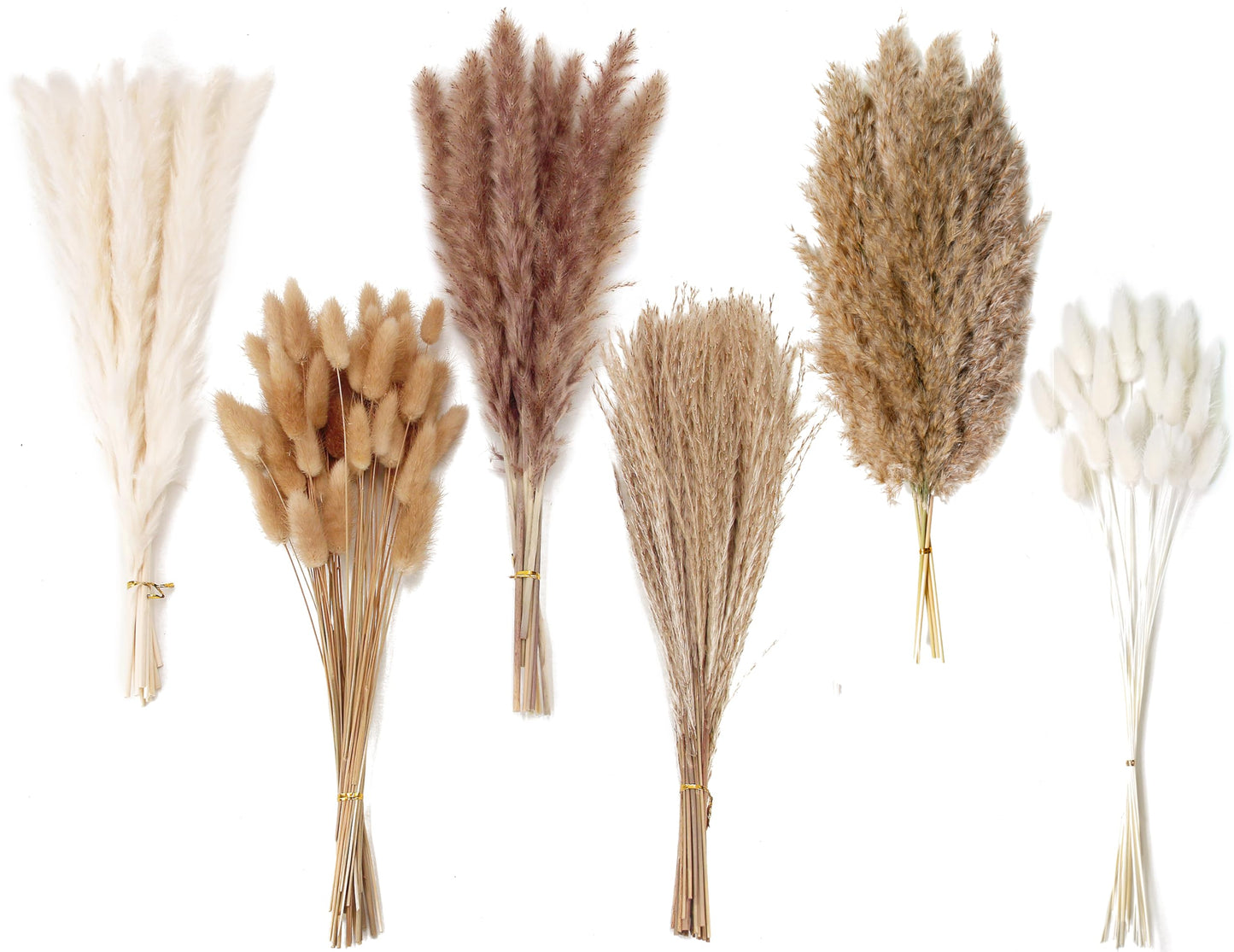 Natural Dried Pampas Grass Bouquet – Mixed Fluffy Pompous Grass for Vase, Boho Decor, Weddings, Gifts & Home Arrangements 100PCS