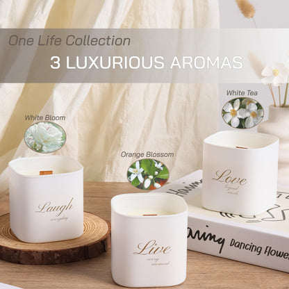 Luxury Scented Soy Candle Set – Canadian Cedar, Black Amber & Sandalwood (3-Pack)