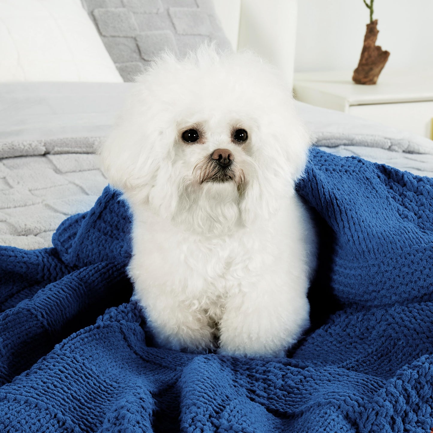 Home Chunky Knit Throw Blanket
