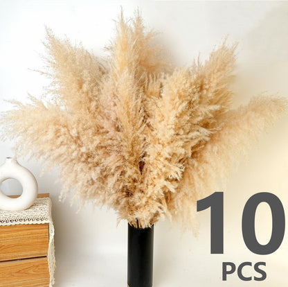 Natural Dried Pampas Grass Bouquet – Mixed Fluffy Pompous Grass for Vase, Boho Decor, Weddings, Gifts & Home Arrangements 100PCS