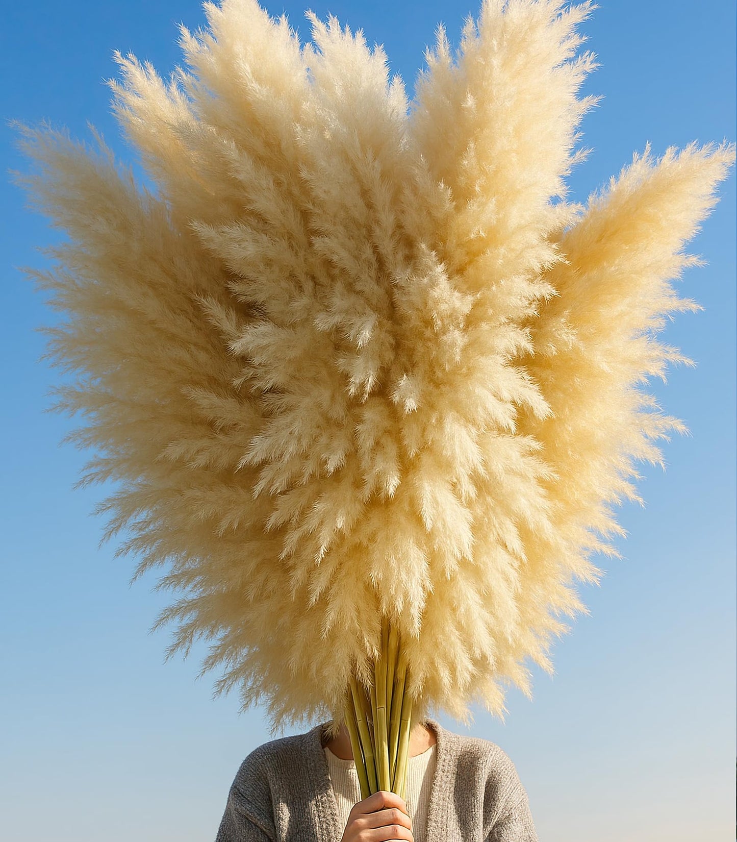 Natural Dried Pampas Grass Bouquet – Mixed Fluffy Pompous Grass for Vase, Boho Decor, Weddings, Gifts & Home Arrangements 100PCS