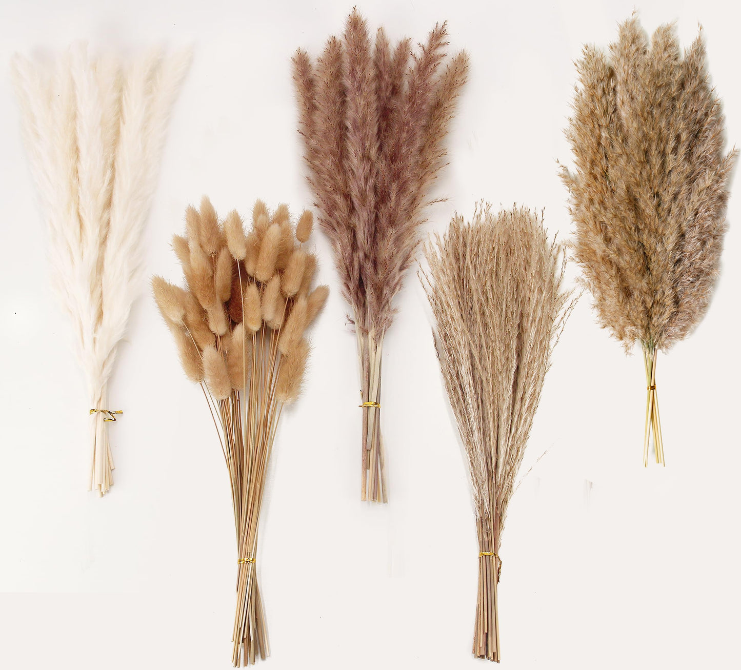 Natural Dried Pampas Grass Bouquet – Mixed Fluffy Pompous Grass for Vase, Boho Decor, Weddings, Gifts & Home Arrangements 100PCS