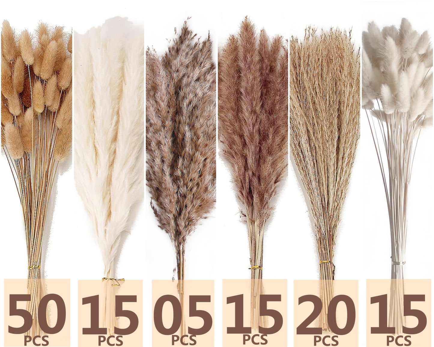 Natural Dried Pampas Grass Bouquet – Mixed Fluffy Pompous Grass for Vase, Boho Decor, Weddings, Gifts & Home Arrangements 100PCS