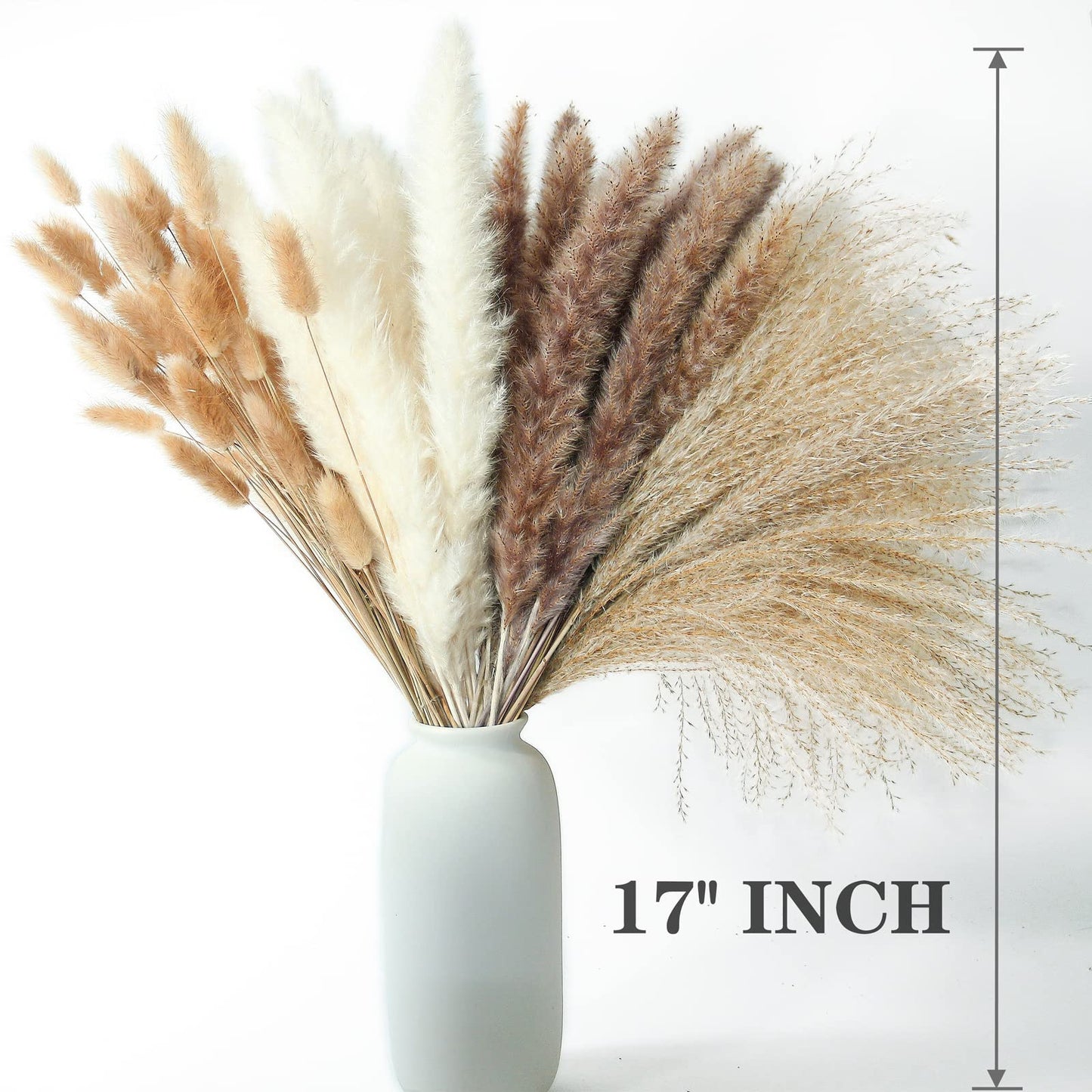Natural Dried Pampas Grass Bouquet – Mixed Fluffy Pompous Grass for Vase, Boho Decor, Weddings, Gifts & Home Arrangements 100PCS