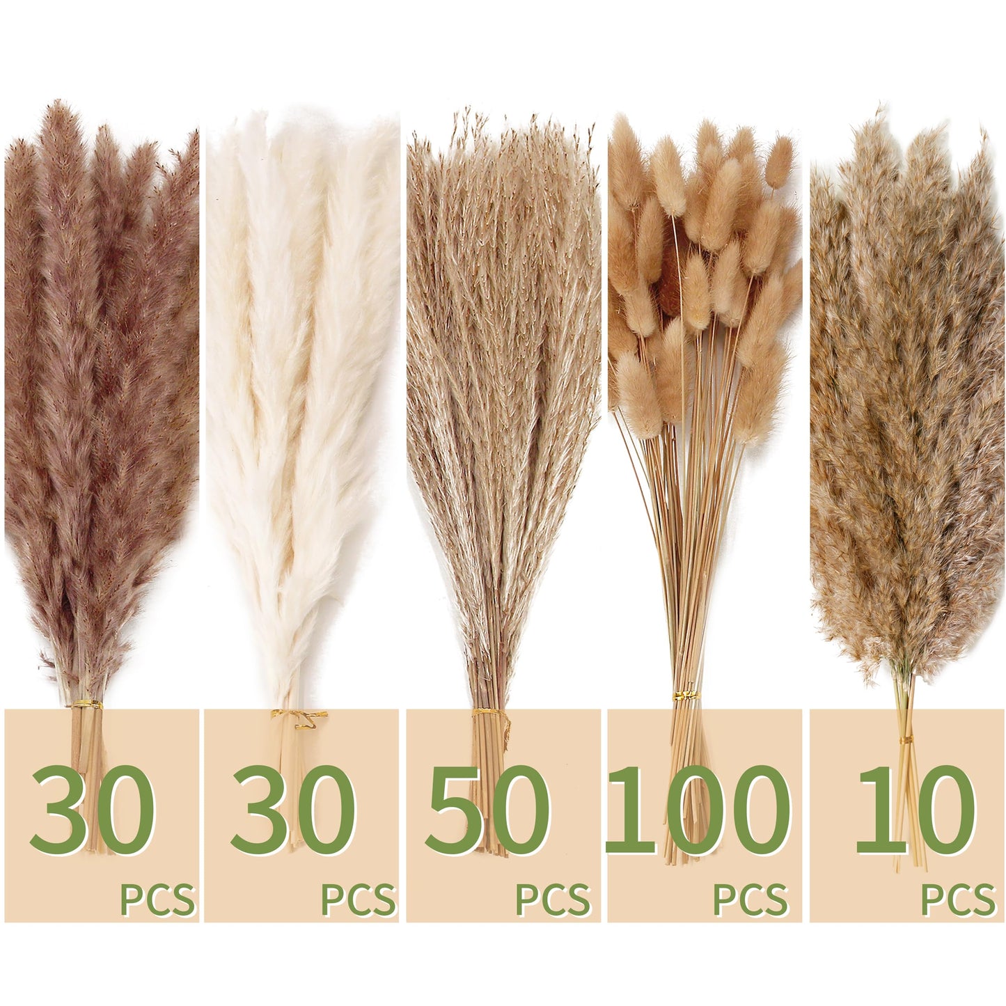Natural Dried Pampas Grass Bouquet – Mixed Fluffy Pompous Grass for Vase, Boho Decor, Weddings, Gifts & Home Arrangements 100PCS
