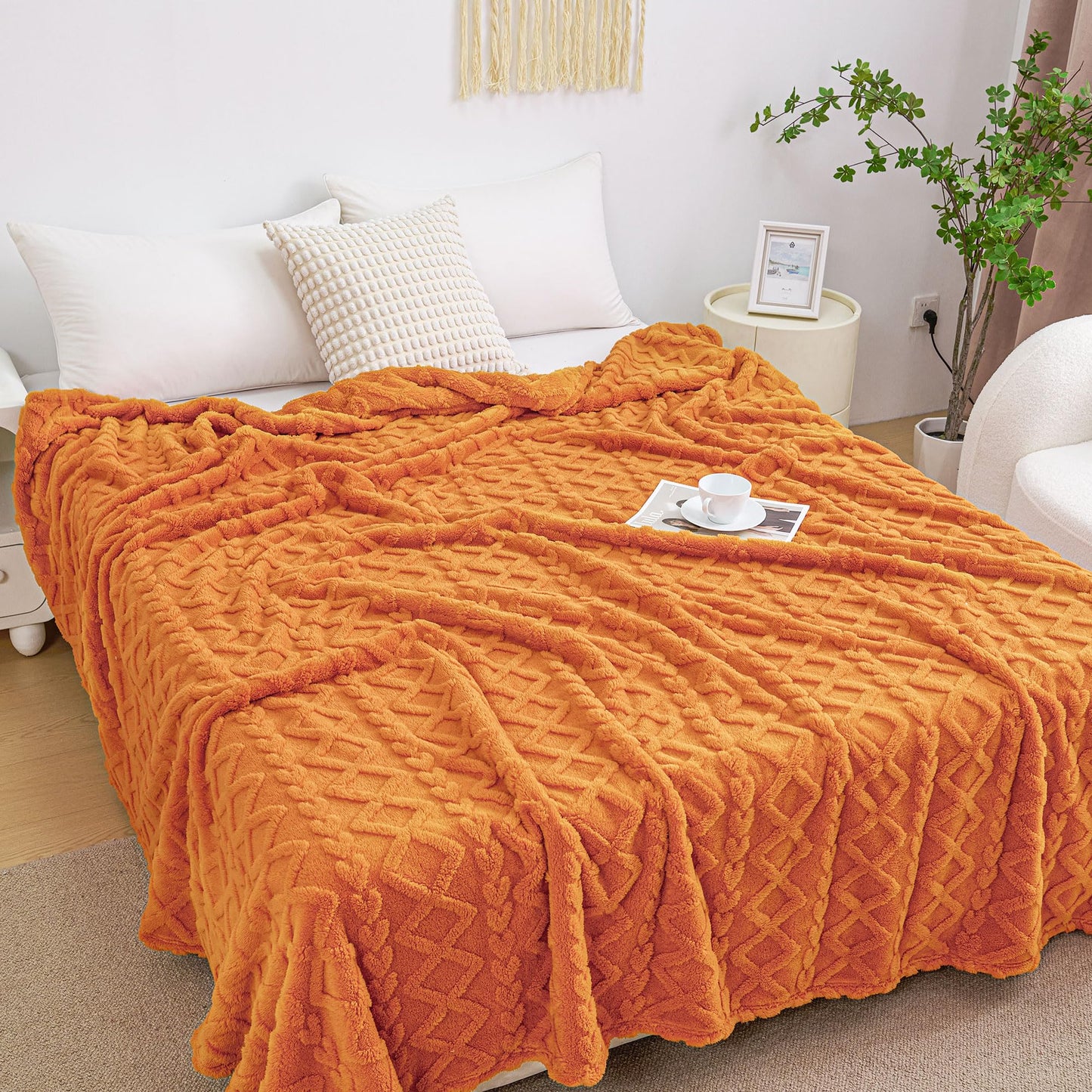 Luxury Plush Faux Fur Throw Blanket